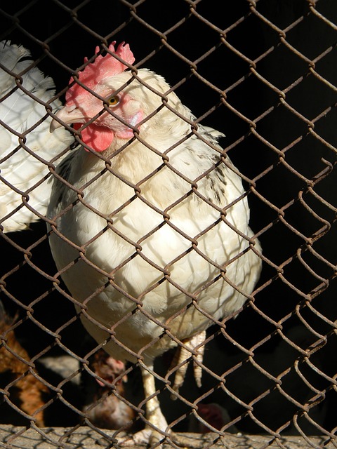 也展示了他 也展示了他