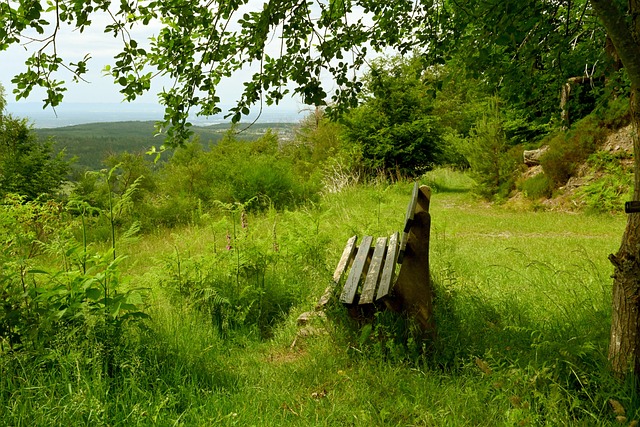 团队执行力 团队执行力