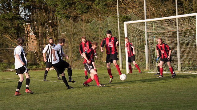 极高的适应 极高的适应