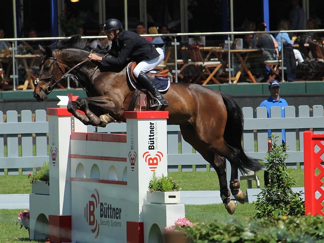 滨水手带来 滨水手带来